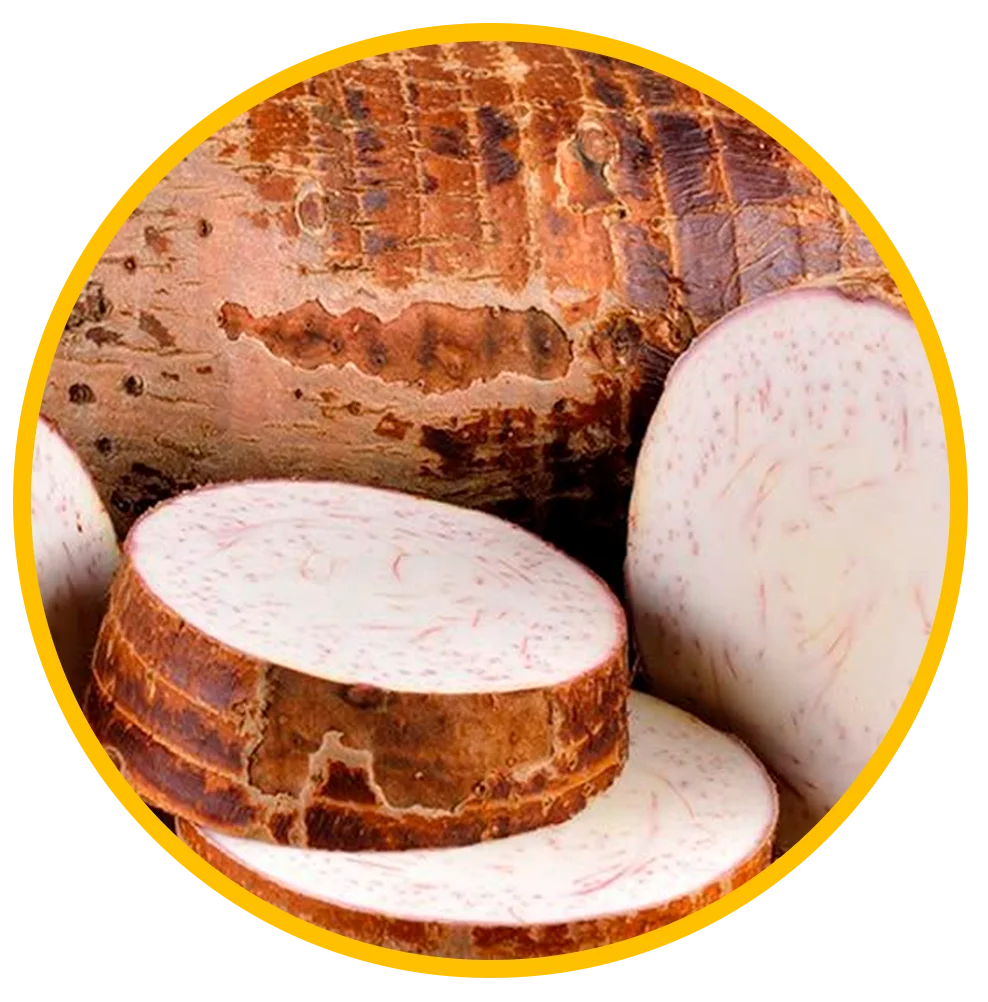 Wild Yam Root Extract