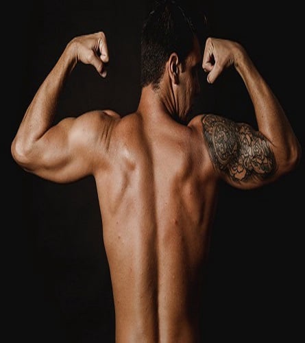 How Prime Perform Works